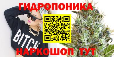a pvp Краснознаменск