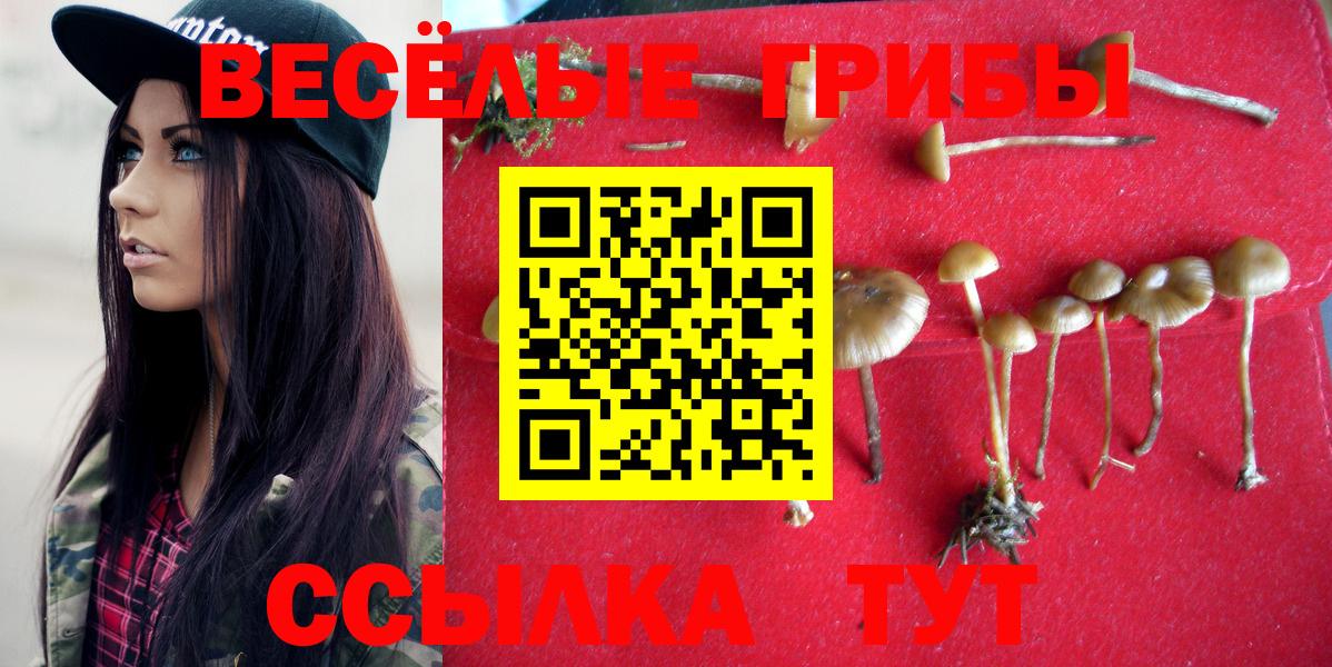Янаул  Галлюциногенные грибы Psilocybine cubensis  Вход с VPN 